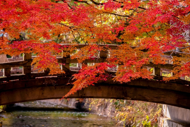 土津神社　紅葉